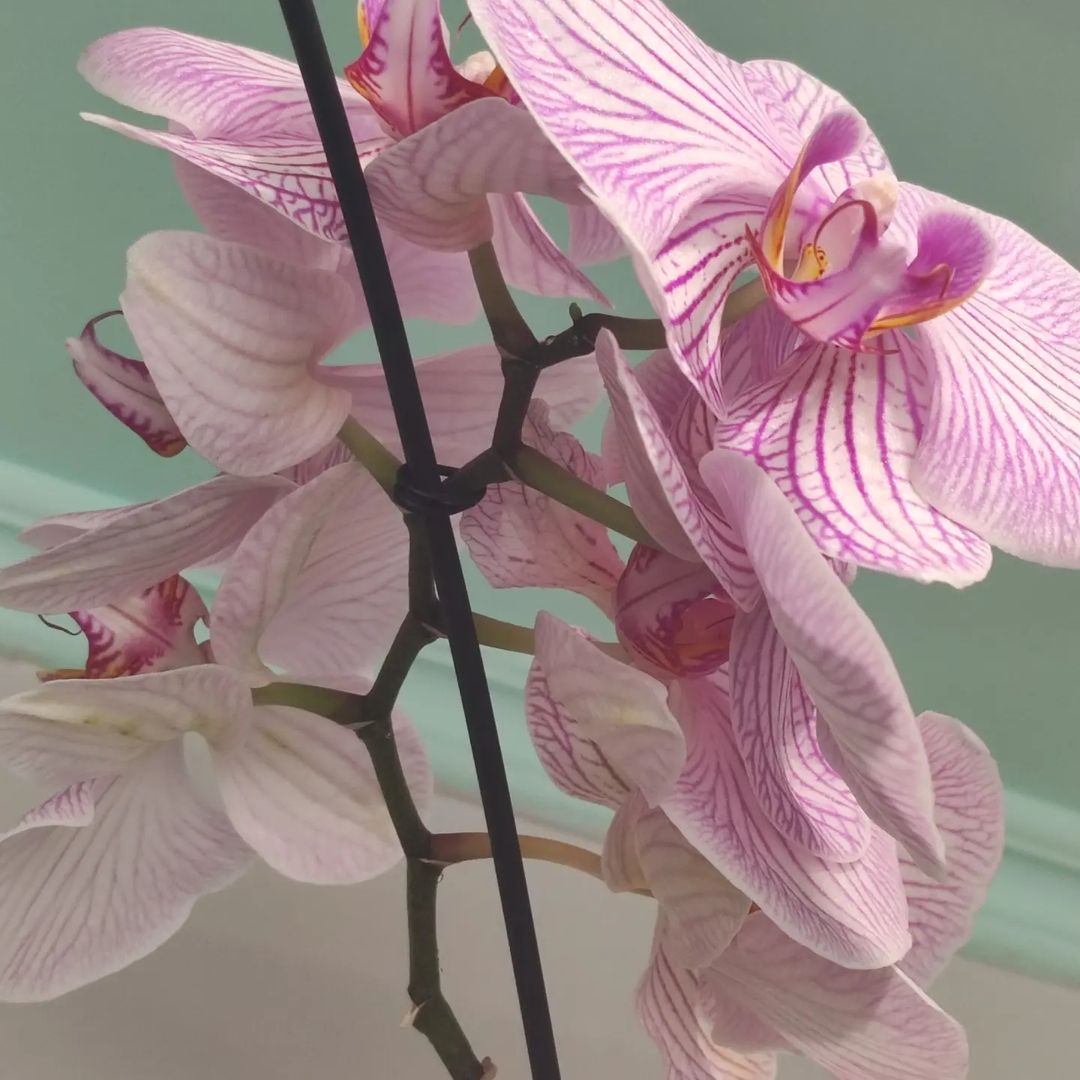  в LOOKY — фото 3