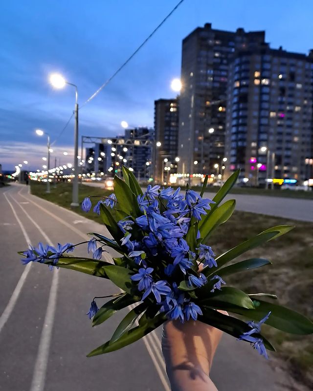 nadezhda_2202_m в LOOKY. . null
