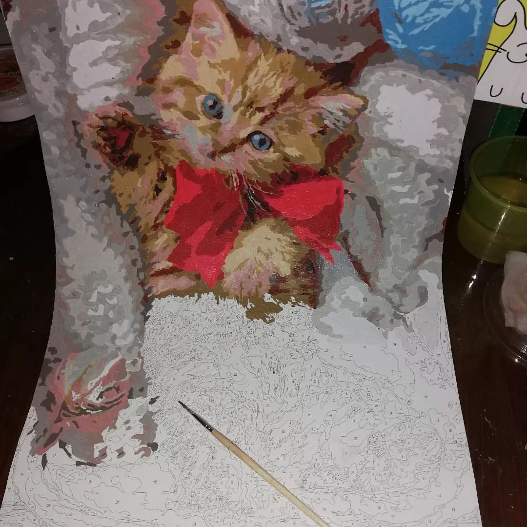 Котики рулят! 🤘🤘🤘