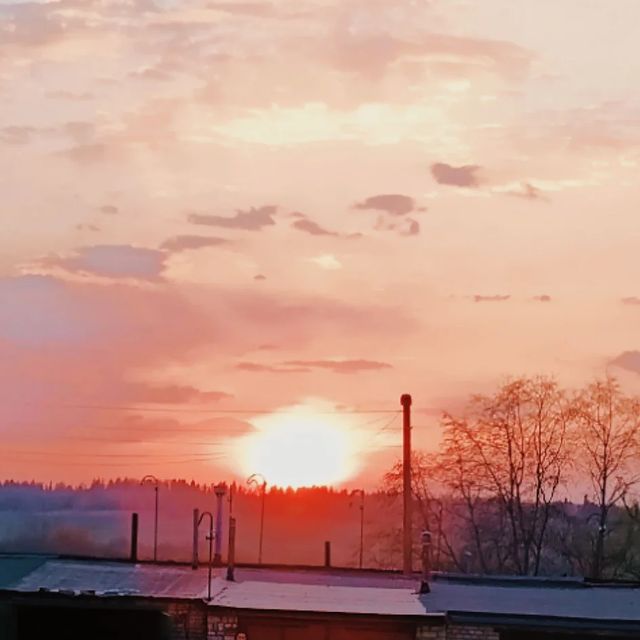 sobachkapochti в LOOKY. . сонца_太陽_Sun_Sonne_с...