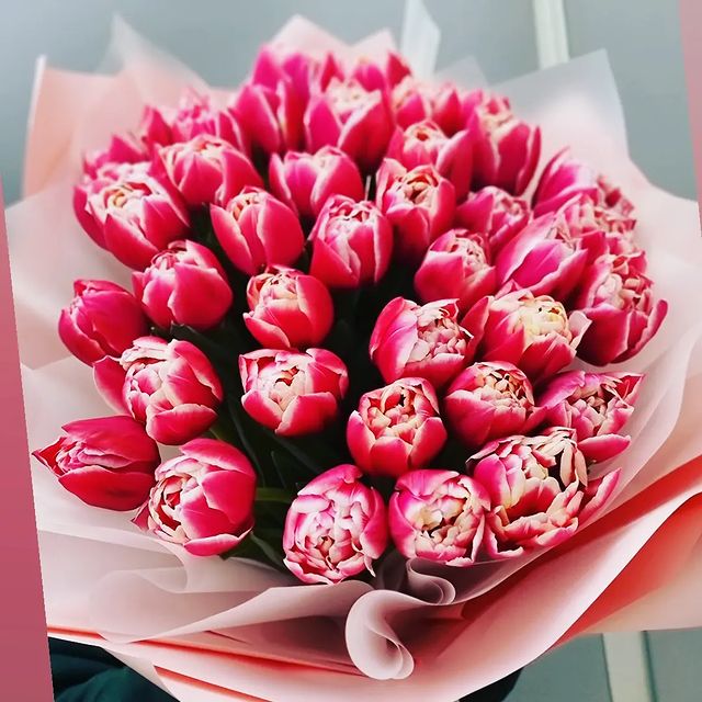 flowers_shop_zimovniki в LOOKY. #цветызимовники,#купитьцветызимовники#доставкацветовзимовники#букетзимовники. #цветызимовники #куп...