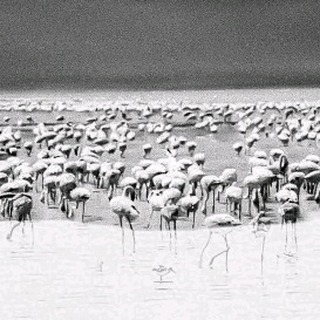 diam.ond2249 в LOOKY. #pencildrawings✏️,#pencildrawings✏️,#pencildrawings✏️#pencildrawings✏️,#pencildrawings✏️,#pencildrawings✏️. #pencildrawings✏️ #p...