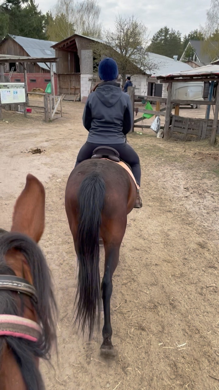 olesiaprofit в LOOKY. #лошади,#лошадь,#катаниеналошадях,#horses,#horselife,#horsetraining,#horsephoto. Люблю лошадей 🥰

#л...
