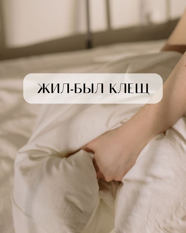 dermasilk.russia в LOOKY. . Жил-был Пылевой Клещ...