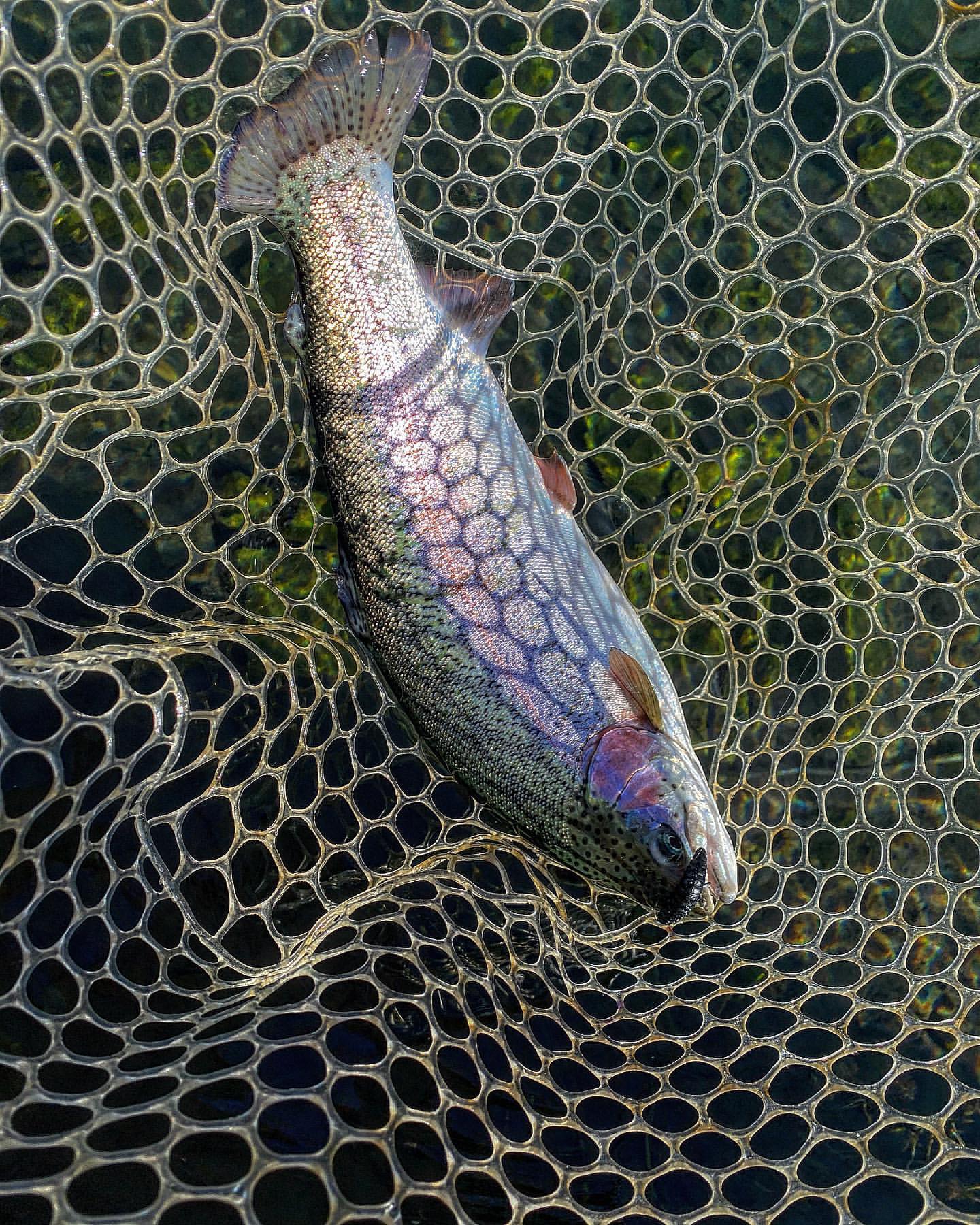 _k4k_angler в LOOKY — фото 3