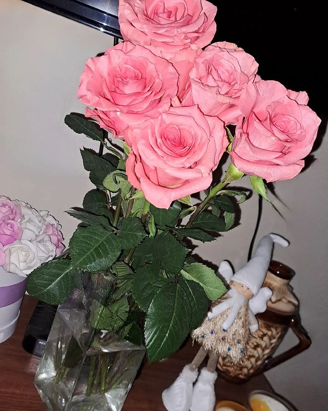 nadezhda_2202_m в LOOKY. . null