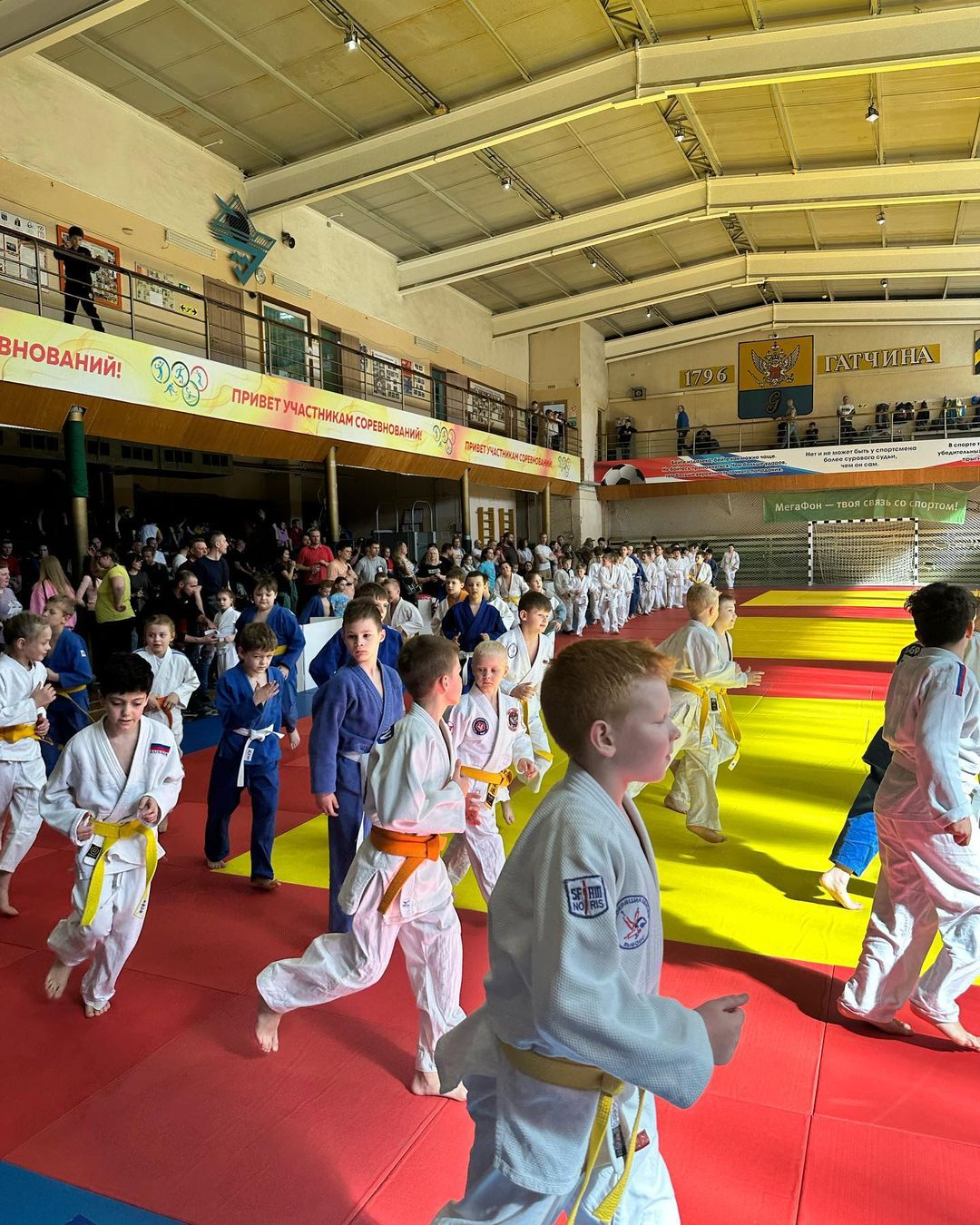 judo_pride в LOOKY — фото 7
