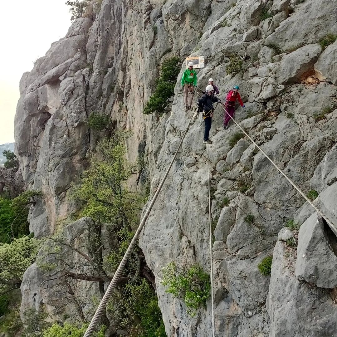 terabytemari в LOOKY — фото 3