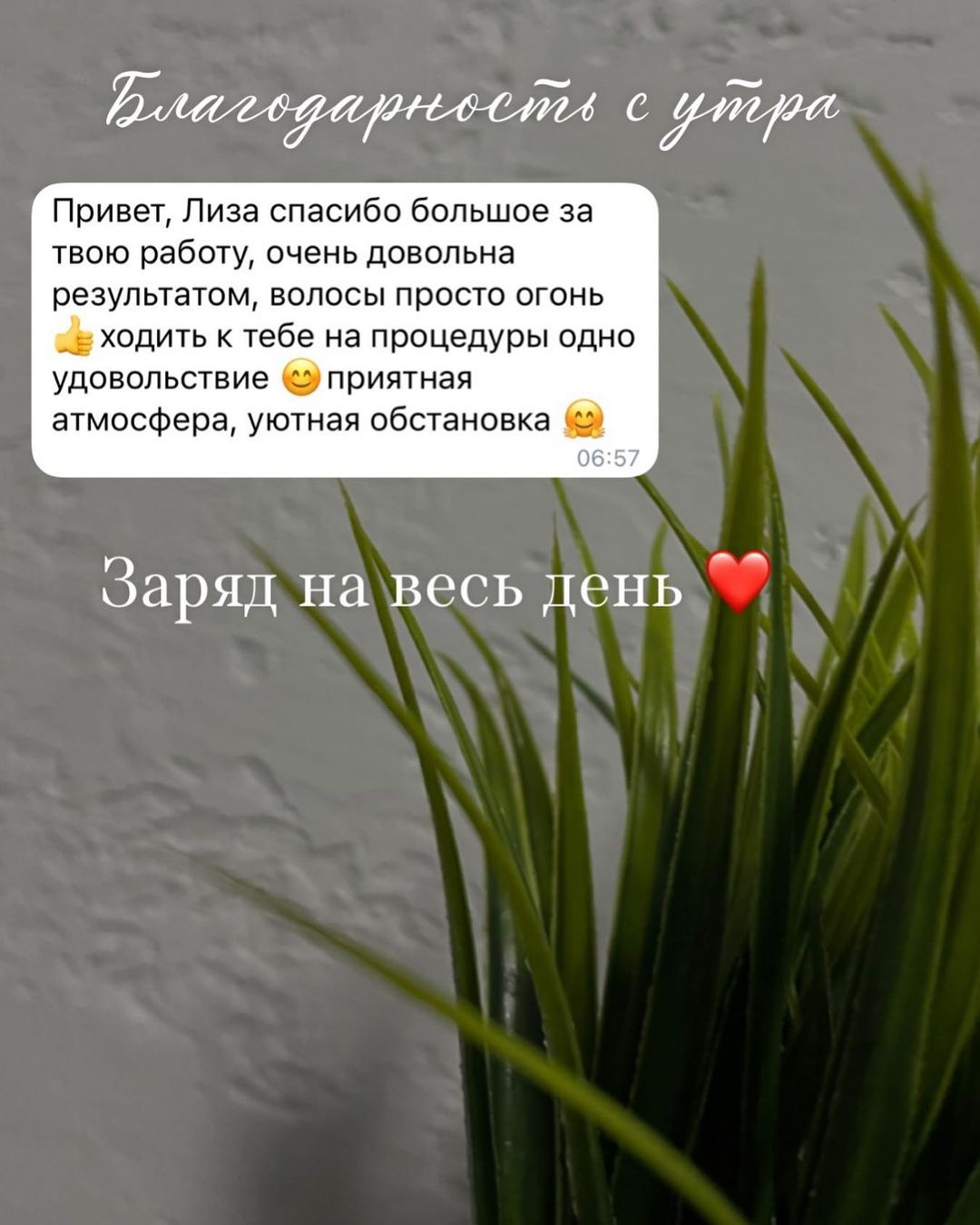 studio__dream_hair в LOOKY — публикация