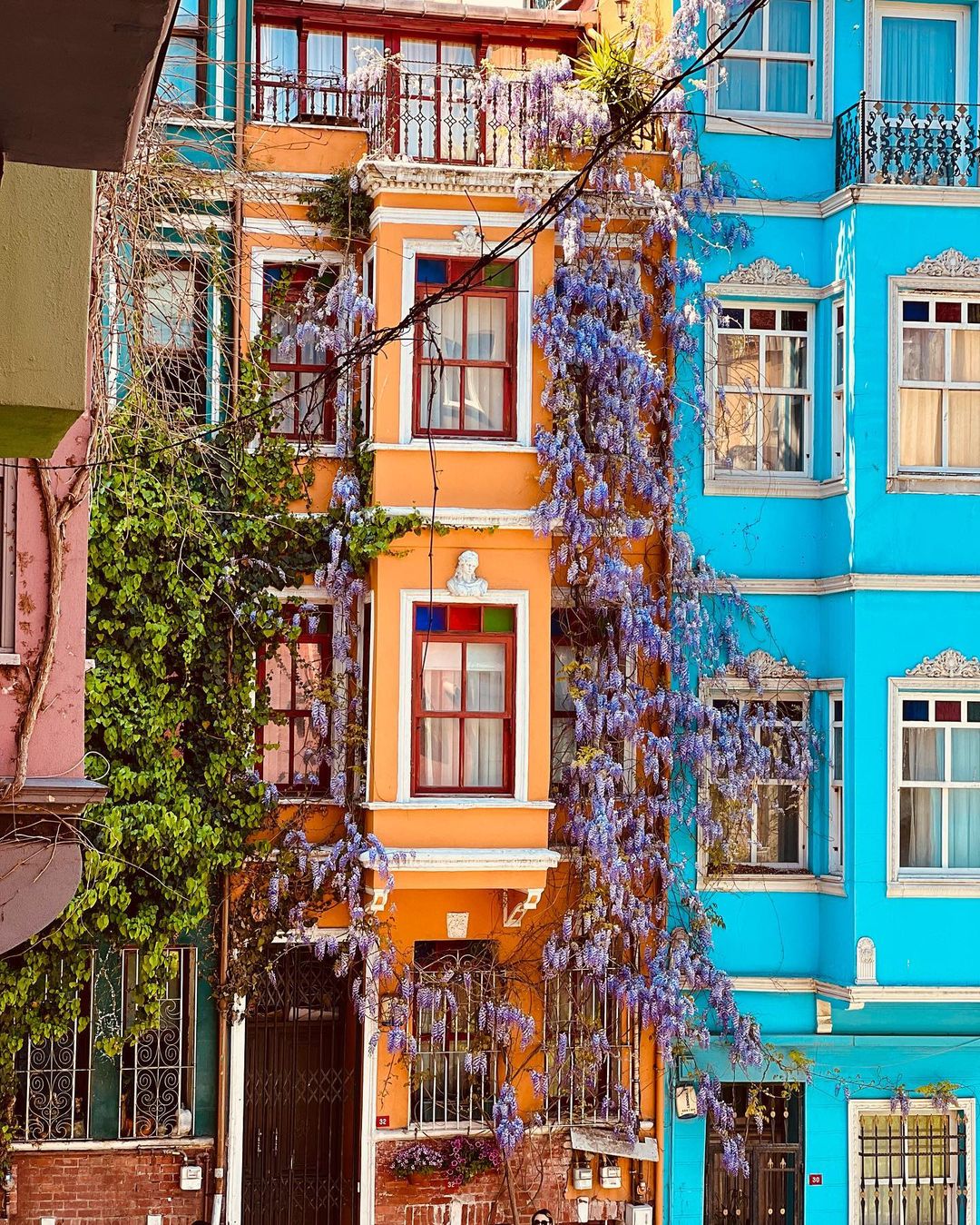 adam_achmiz_ в LOOKY — фото 2