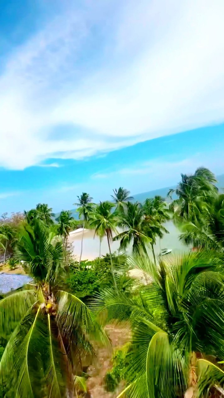 dmezrin в LOOKY. #samui,#thailand,#fpvdrone,#cinematic,#cinematicfpv,#cinematicvideo,#dji,#beach,#palm,#holiday. We flew a little
#sa...
