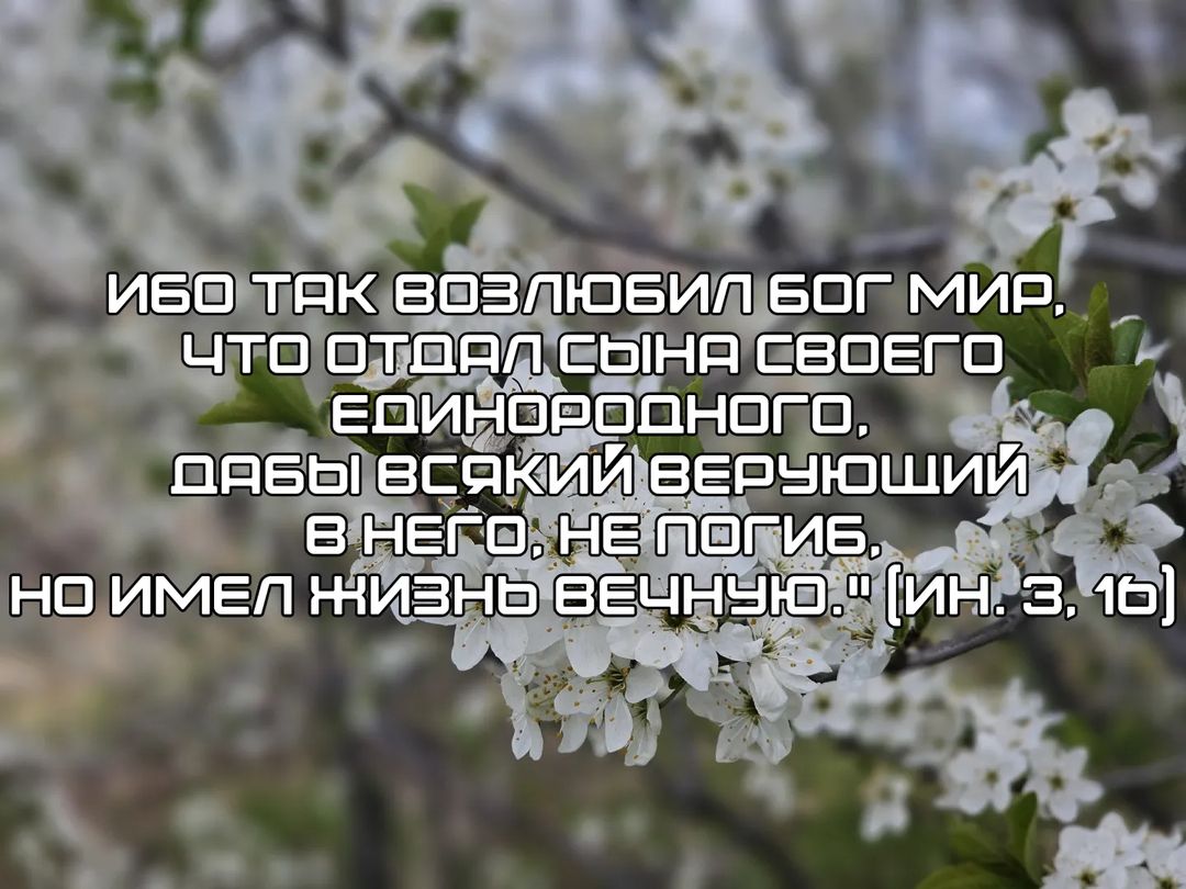 priest_evkaravaev в LOOKY — "Ибо так возлюбил Бог мир, что отдал Сына Своего Единородног