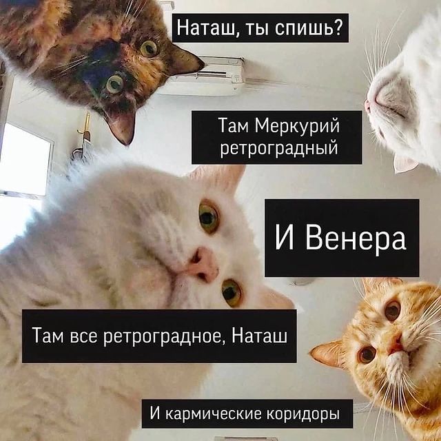 hd4ppl в LOOKY. #транзит,#фрикинелечусь. Напоминалка по текущ...