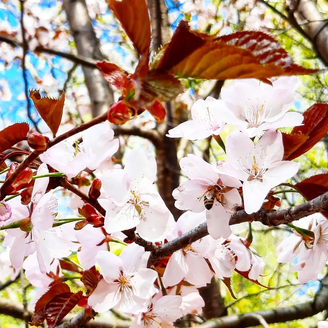 elena_artemova69 в LOOKY — фото 8