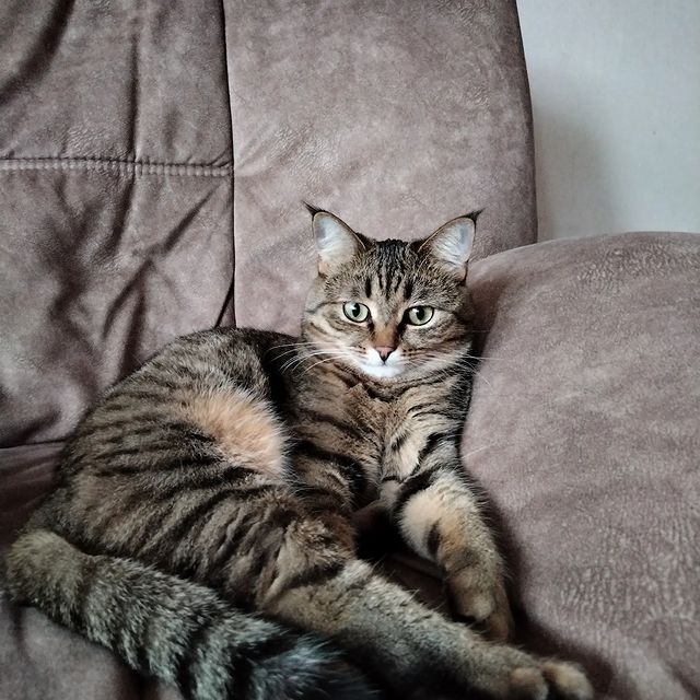 galochkina_ppcake в LOOKY. . Привет Инстаграмм🤣
...