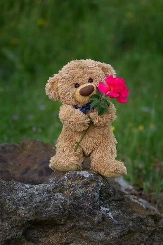 howard892023 в LOOKY. . null