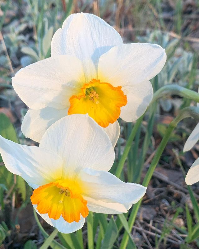 galinovmost в LOOKY. . null