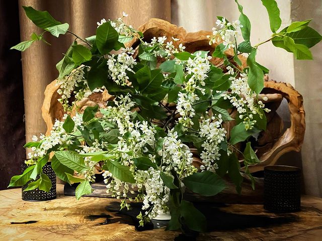 alexxshu в LOOKY. . Привет аллергии в эт...