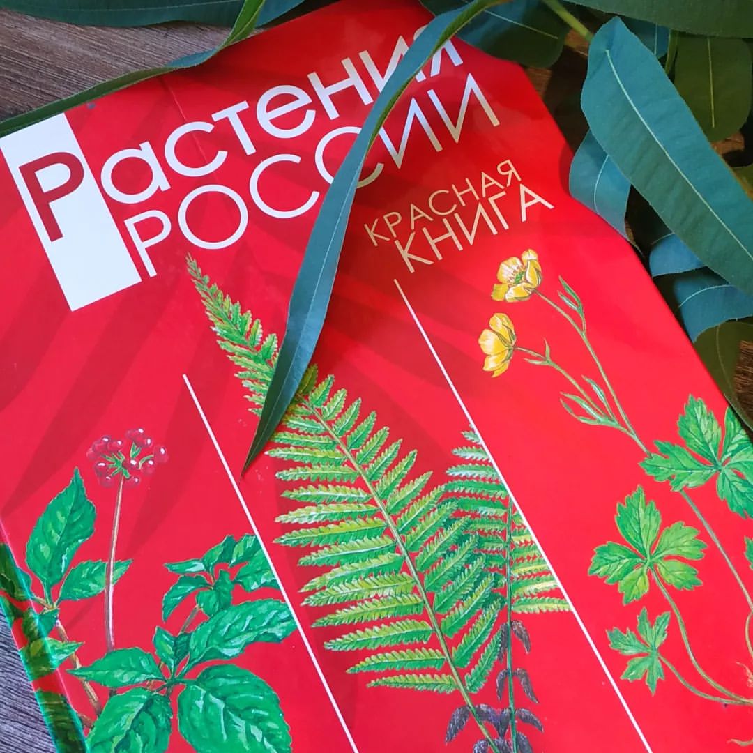 🌲За сбор грибов теперь будут сажать!
🥀Девять лет за букетик ландышей! 
🍄Мухомор в законе!

Кто уже видел в новостях такие заголовки и успел испугаться?

🍀Все не так страшно. Хотя ландыши и вправду лучше не трогать, как и другие краснокнижные растения и грибы, даже если они растут прямо на вашем участке. 

🍀Но это только присказка, а не сказка. На самом деле я собираюсь спросить вот о чем:

🌼Знакома ли вам ситуация, когда вы видите, к примеру, цветущий тысячелистник или чистотел и вспоминаете, что соседка/знакомая/подруга рассказывала (или где-то прочитали-услышали), что оно помогает при заболевании, которым вы страдаете. Или вообще лечит прямо все-все (что всегда неправда))).

🌼Вы собираете огромный букет, несёте домой, сушите, потом он лежит в шкафчике, возможно не один год, а потом... Вы его просто выбрасываете. Хорошо, если в компостер, тогда хотя бы чуточку не совсем зря 😇. Но всё-таки...

Знакомо?

🍀 Главная печаль такого подхода в том, что с ним у нас и крапива с одуванчиком могут оказаться в Красной книге, вон сколько уже написали об их полезности.  И не мы одни собираем в лесу растения в надежде исцелиться, а потом не используем по назначению. 
А бывает, что используем, но лучше не становится. Главное - чтобы не стало хуже.

🍀Так что делать?

Изучать травы интересно. И нужно. Знать их свойства прежде, чем бросить в чашку - необходимо!

🍀Понимать, какие травы нужны, а какие нет - тоже очень важно!

Поэтому я предлагаю встретиться за чашечкой чая и разобраться, какие травы вам действительно нужны, а какие лучше не трогать. Как их правильно собирать, готовить и принимать, чтобы это было вам на пользу и никому не во вред.

Что мы получим по итогам встречи?
🍀Составим травный кабинет, кто-то для себя, а кто-то и для всей семьи.  Список растений, которые подходят именно вам, которые стоит собирать, сушить и использовать. 
🍀 Разберемся в том, как работают травы, где их место и роль в сохранении нашего здоровья👩‍⚕️
🍀Развеем мифы, которых вокруг травничества очень и очень много, и научимся использовать их "по науке"👩‍🎓
🍀И дополнительно расскажу, какие книги по травничеству нужно иметь в домашней библиотеке, а на какие не стоит тратить деньги 💰