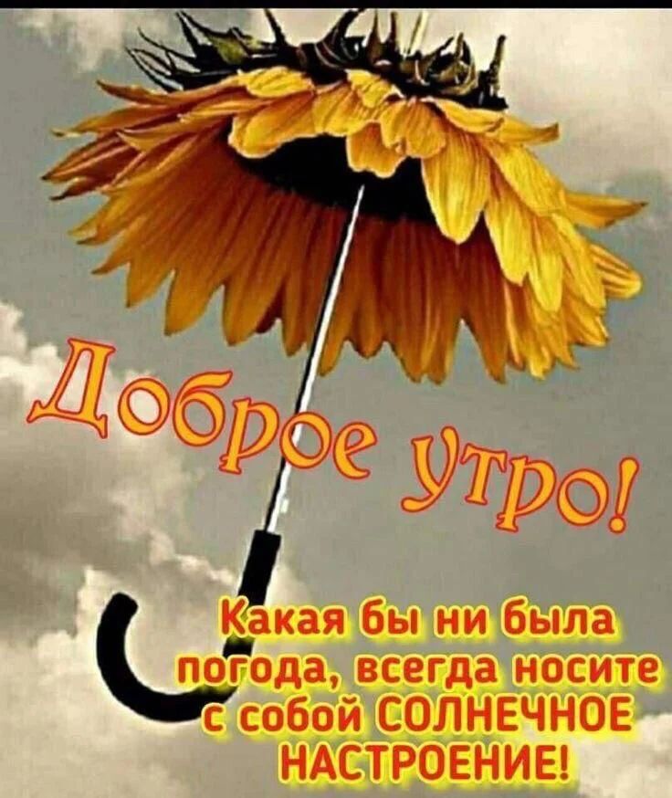 veronikadanila