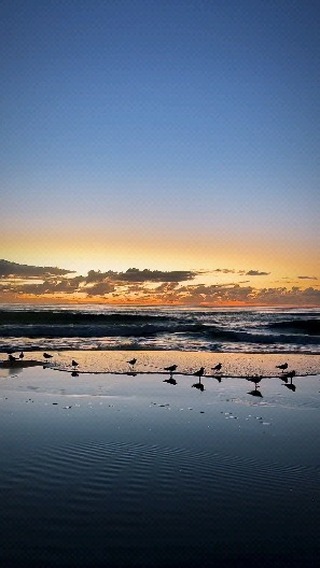 best__dis в LOOKY. . null