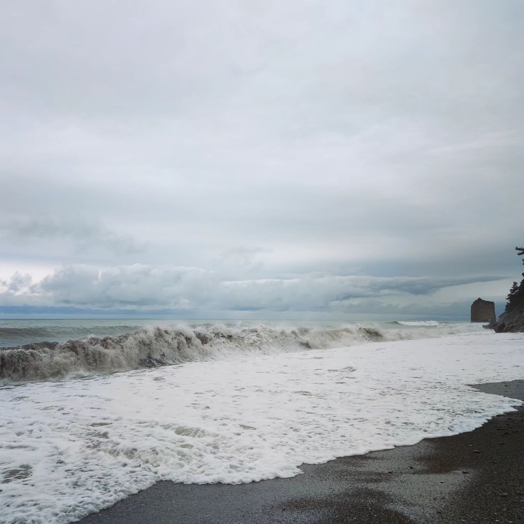 locagringo