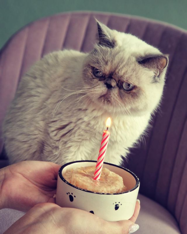 alena_vdovenko в LOOKY. . 🤍 
“4”