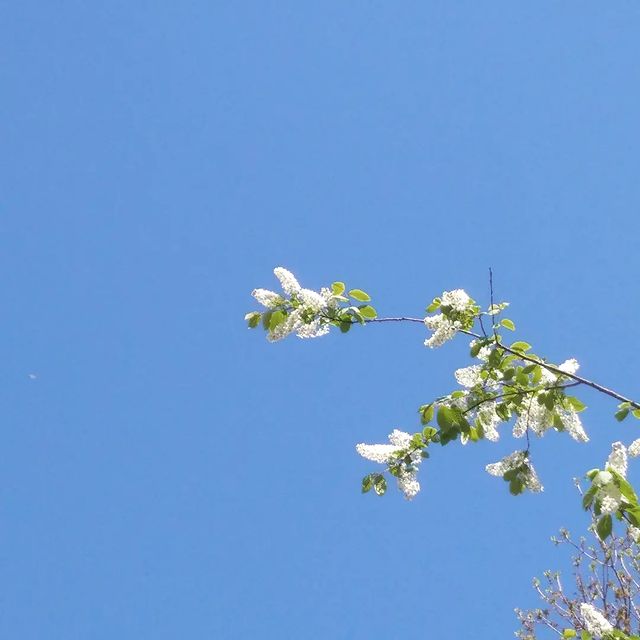 __wasxxe__ в LOOKY. #spring,#april,#matsy,#sun,#warm,#beautiful,#day,#instagram,#photo,#beautifulday. 💙🌿💙 - 23.04.30

t...