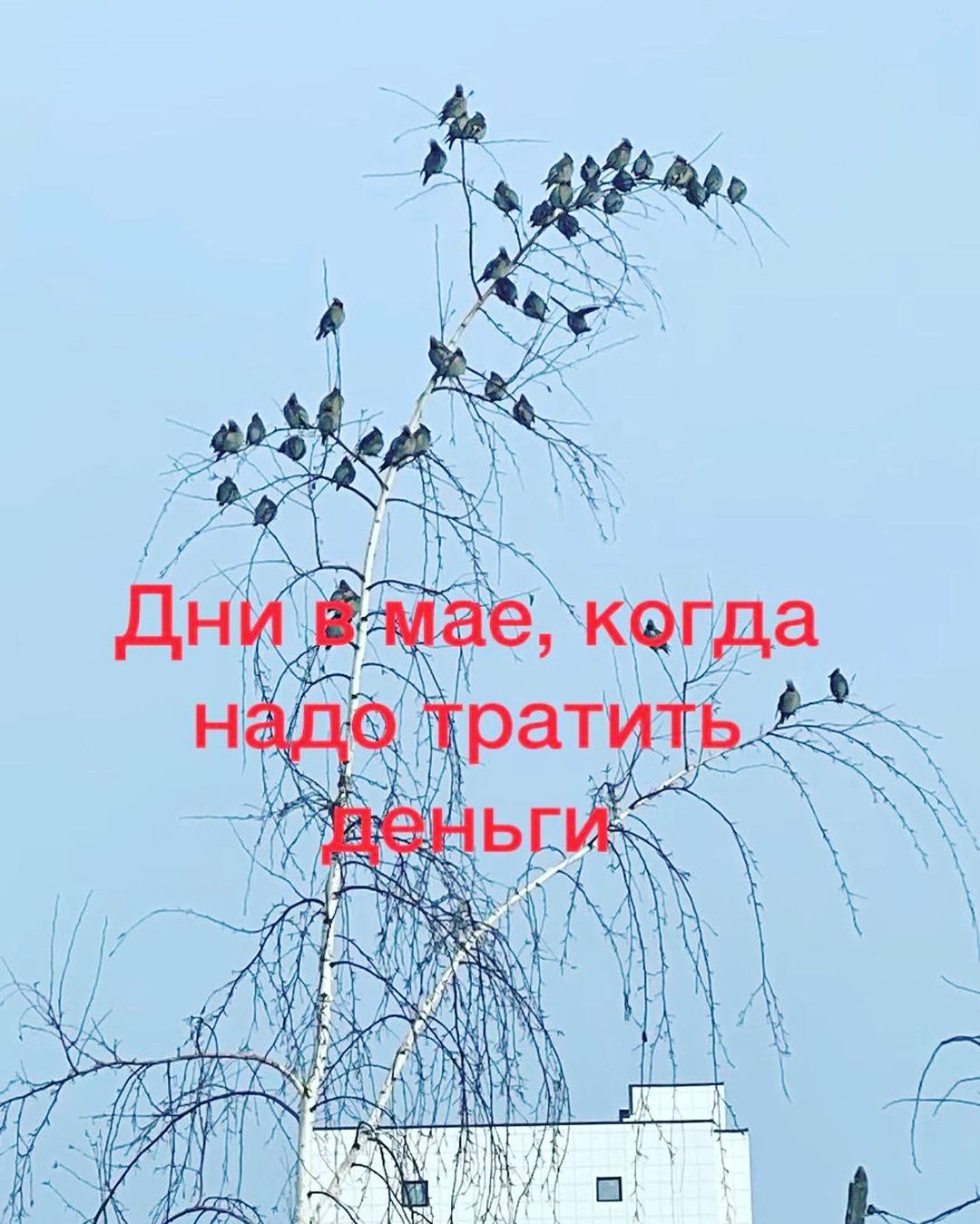 elena_dmitrieva472 в LOOKY — Продолжаю рубрику про денежные дни, когда надо их тратить, ч