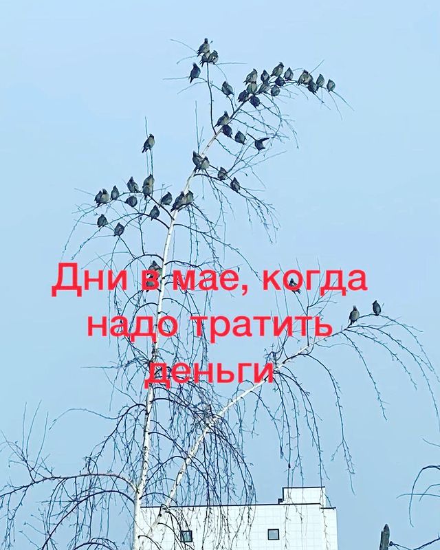 elena_dmitrieva472 в LOOKY. #денежныедни,#денежныедни,#деньгиесть,#консультациябацзы,#консультантбацзы,#денежнаяудача. Продолжаю рубрику пр...