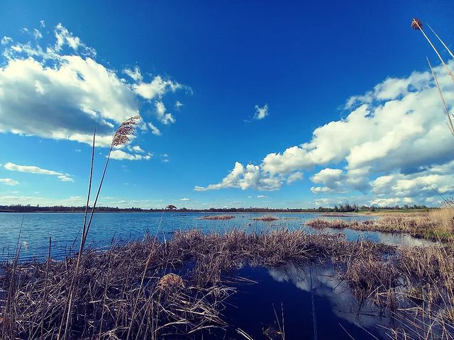 1945averyan в LOOKY. . null