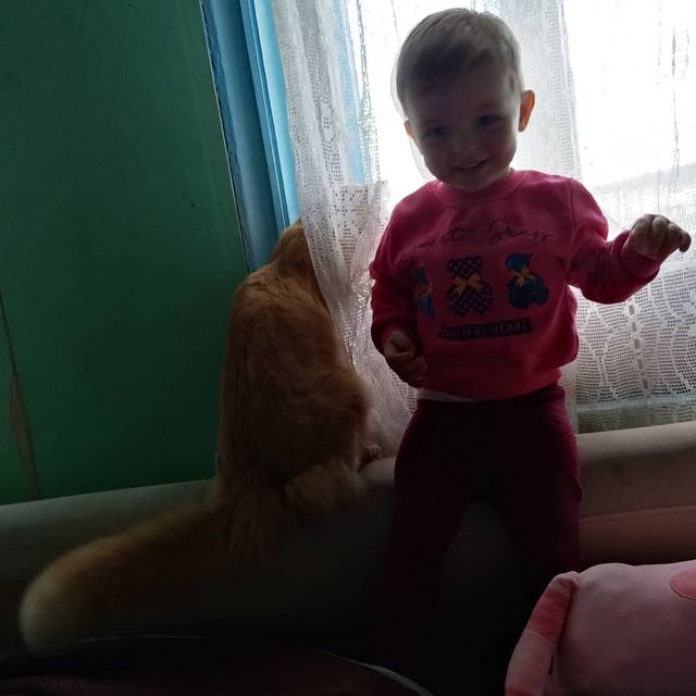 m_shipulina_ в LOOKY. . Любимый кот🐈