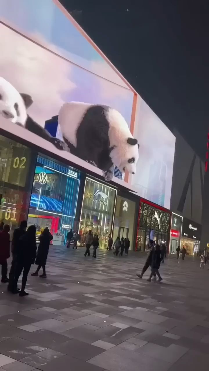 billboards_shorts в LOOKY. #instagram. 3D Billboard Panda �...