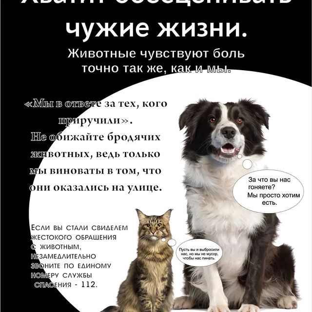 liudmilaosokina9355 в LOOKY. . Вот читала сегодня о...