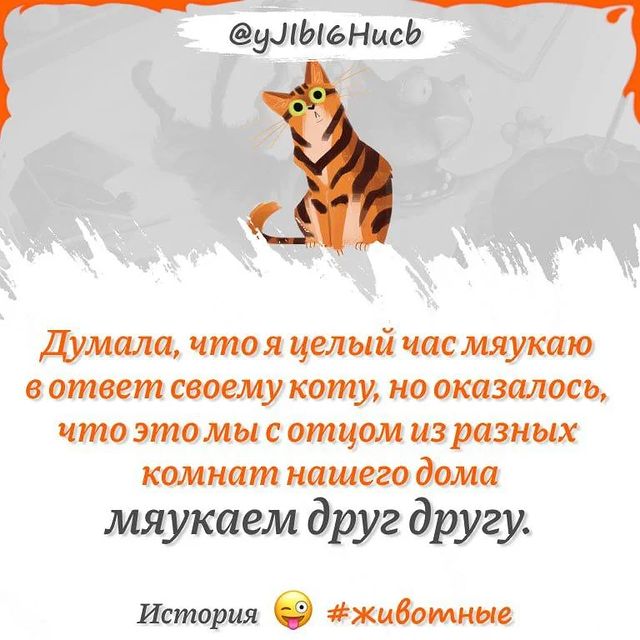 _rifmulya_ в LOOKY. #кошачийязыкэтонемое,#кошачийязыкнурсултан,#кошкадома,#стихикатринмальтц,#ктопонялтотпонял😜. .

Слышу я  мяуканье...
