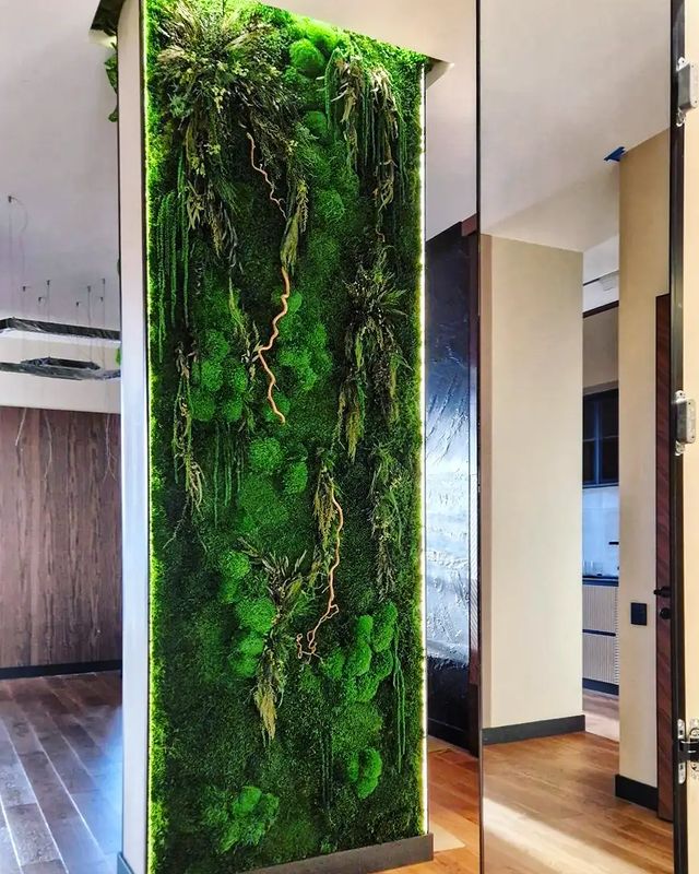 fitodecor в LOOKY. . КОГДА  ХОЧЕТСЯ КУСОЧ...