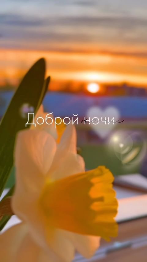 mariia.bazhina в LOOKY. #Доброй_ночи,. #Доброй_ночи, что то...