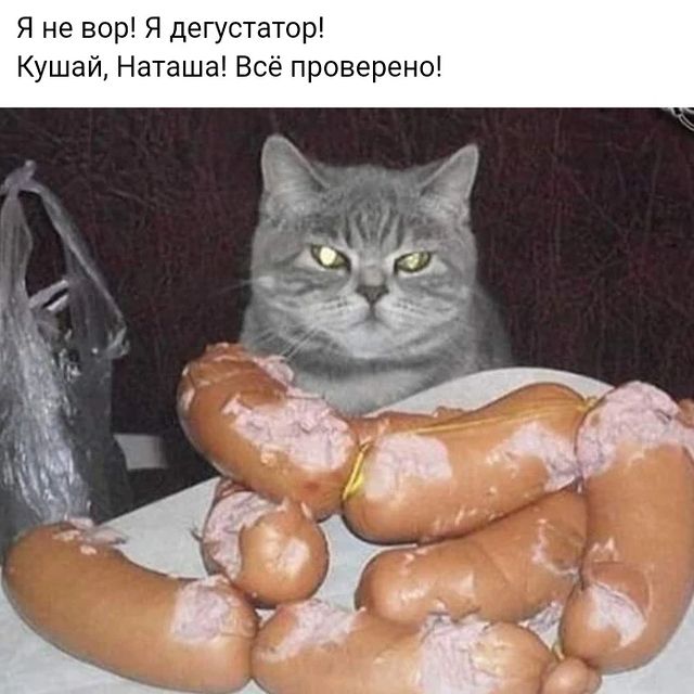 _rifmulya_ в LOOKY. #котисосиска,#хозяйкаикотейка,#стихикатринмальтц,#итакоеможетбыть. .
Василий Муркович-о...