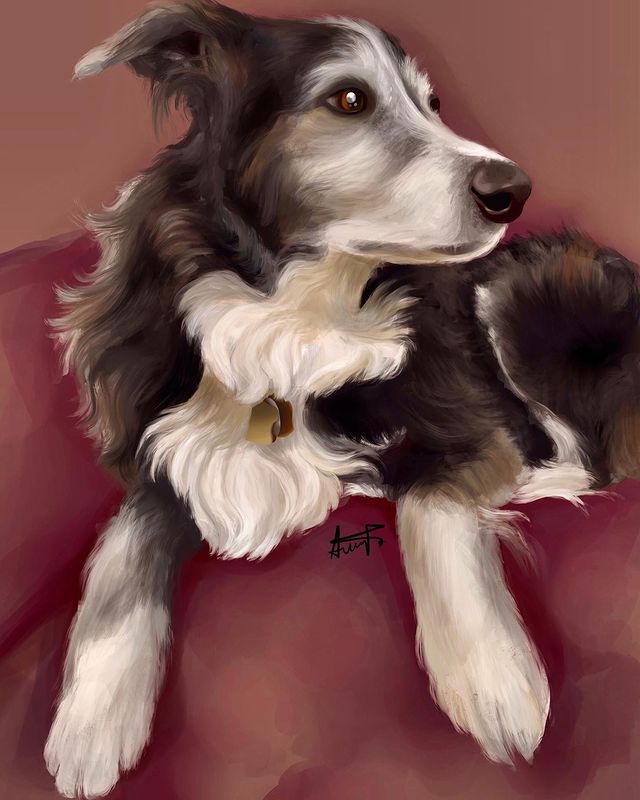 akira в LOOKY. #petportrait,#petcommission,#dogportrait,#dogart,#petart,#petpainting,#petpaintingsoninstagram,#dogpainting,#dogpaintings,#akiraartdemon. a finished pet commi...