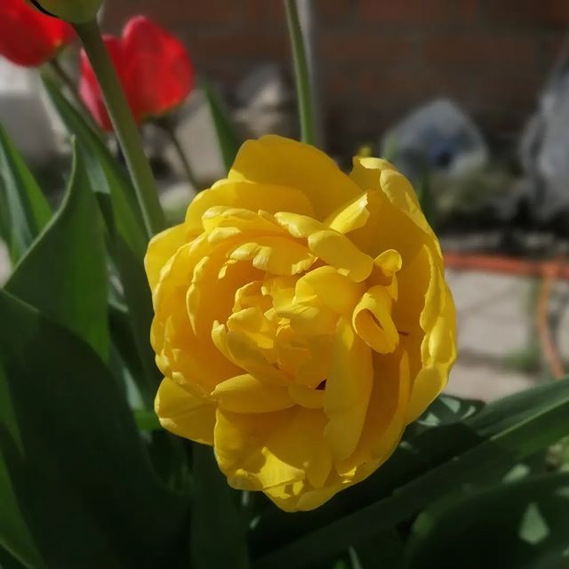 svetyk_nw в LOOKY. . Краски весны 🌈