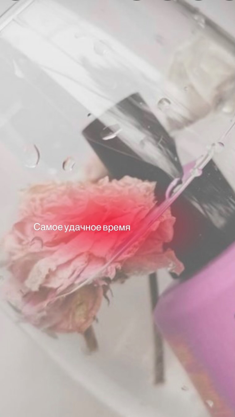 verbitskaia_nailart в LOOKY. #дизайнфрукты,#дизайнногтей,#дизайннаногтях,#дизайнфруктынаногтях,#онлайнкурс,#онлайндизайнногтей,#курсдизайнаногтей. Мест осталось мало👆...