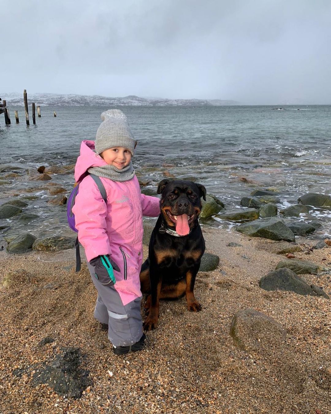 nasstxsst in LOOKY. #rotweiler. #rotweiler 
🖤🌊