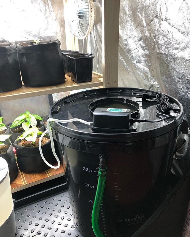 bob_homeland в LOOKY. #гидрапоника,#aquapot,#dwc,#HotPepper,#CarolinaReaper,#ScorpionTrinidad,#7Pot,#GhostPepper,#Habanero,#NagaMorich,#острыйперец. Aquapot xl

#гидрапо...