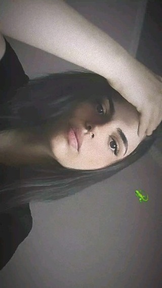 mini._bell в LOOKY. . null