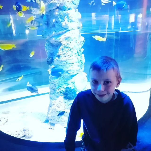natalpit в LOOKY. . Океанариум) 🐠🐬🐡