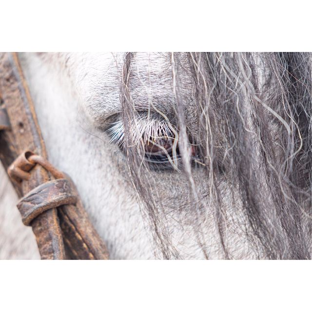 zolipics в LOOKY. #everydayeverywhere,#documentary,#gettyimageinstagramgrant,#lensculture,#burnmagazine,#azerbaycan,#reportagespotlight,#MEdailylife,#bnw_users,#phmuseum,#akasimagazine,#bnw_society,#topbnw,#bnw_demend,#everydayasia,#everydayiran,#iran_images,#everydayazb,#roozdaily,#irancumentary,#lenspersia,#turkey,#streetphot,#thestreetphotograohyhub,#friendsinbnw,#friendsinstreets,#ir_dailyshots,#tabriz#appleiphone,#tiktok. #everydayeverywhere ...