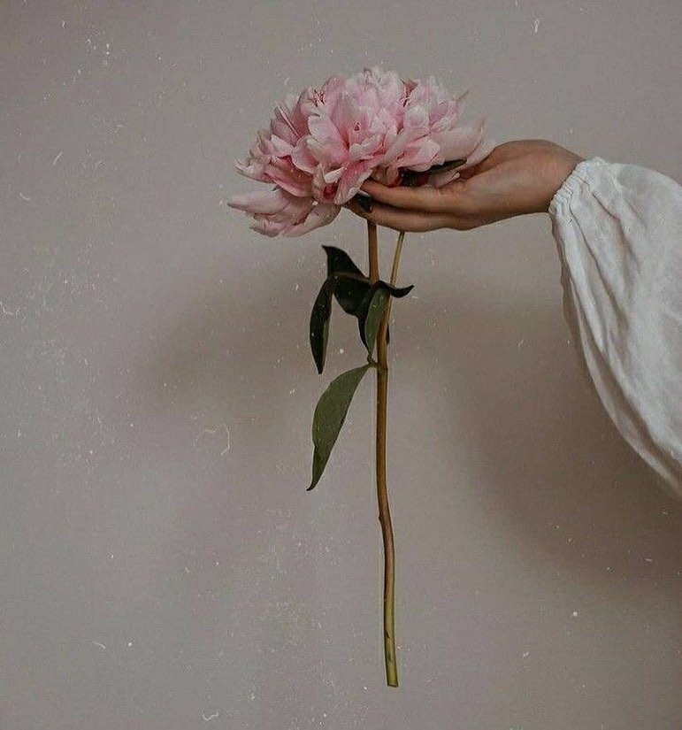 s_lyubov_an в LOOKY — публикация