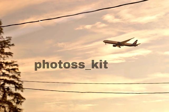 photoss_kit в LOOKY. #фотосессии,#фотограф,#фото,#photographer,#photo,#фотосессия,#фотосъемка,#осень,#фотодень,#москва,#портрет,#фотография,#nikon,#дети,#фотопроект,#любовь,#россия,#photography,#модель,#фотографмосква,#photooftheday,#инстаграм,#красота,#фотографии,#фотостудия,#photogelen,#photokurort,#девушки,#пара,#photoss_kit. #фотосессии #фотогра...