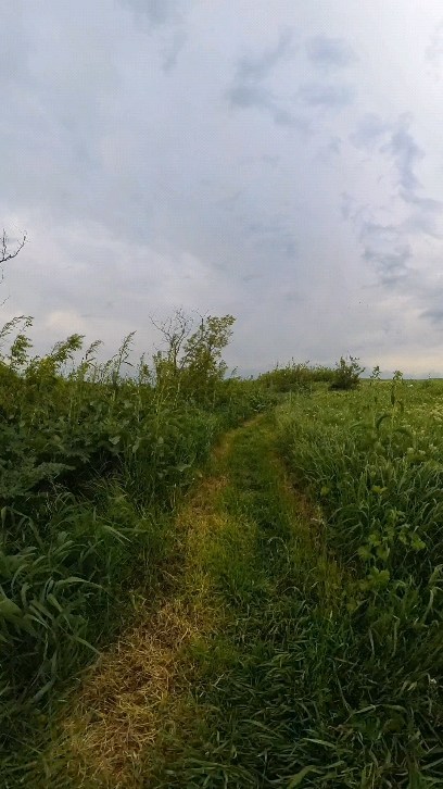 photopro.life in LOOKY. #insta360x3,#insta360,#видео360,#инста360. INSTA360X3
Продолжаю...