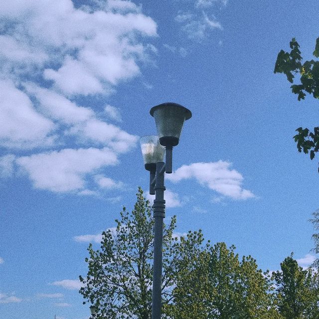 __wasxxe__ в LOOKY. #spring,#may,#matsy,#sun,#warm,#beautiful,#day,#instagram,#photo,#beautifulday,#park,#flowers,#sky,#street. 🔹🔹🔹 - 23.05.07

最...